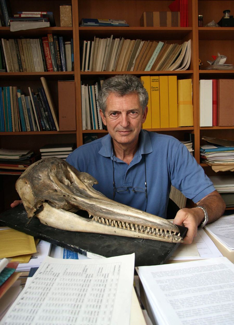 maurizio wurtz artescienza