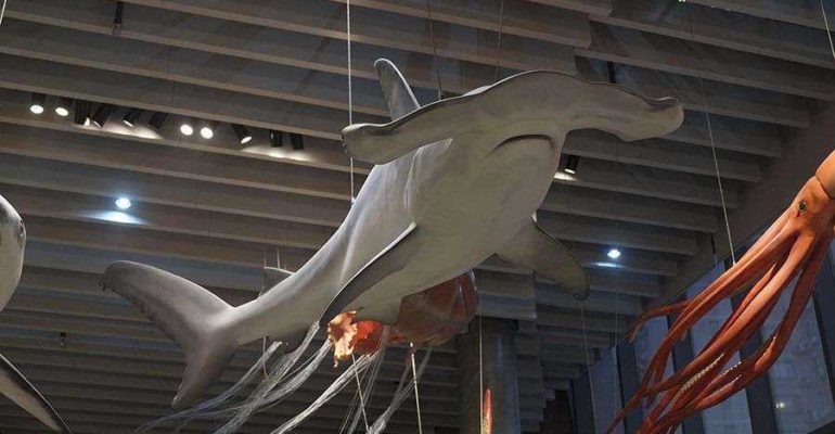 Artescienza: Modello tridimensionale realizzato per il Museo di Storia Naturale di Shanghai (CINA)
