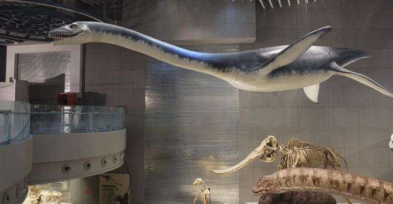 Artescienza: Modello tridimensionale realizzato per il Museo di Storia Naturale di Shanghai (CINA)