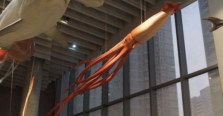 Artescienza: Modello tridimensionale realizzato per il Museo di Storia Naturale di Shanghai (CINA)