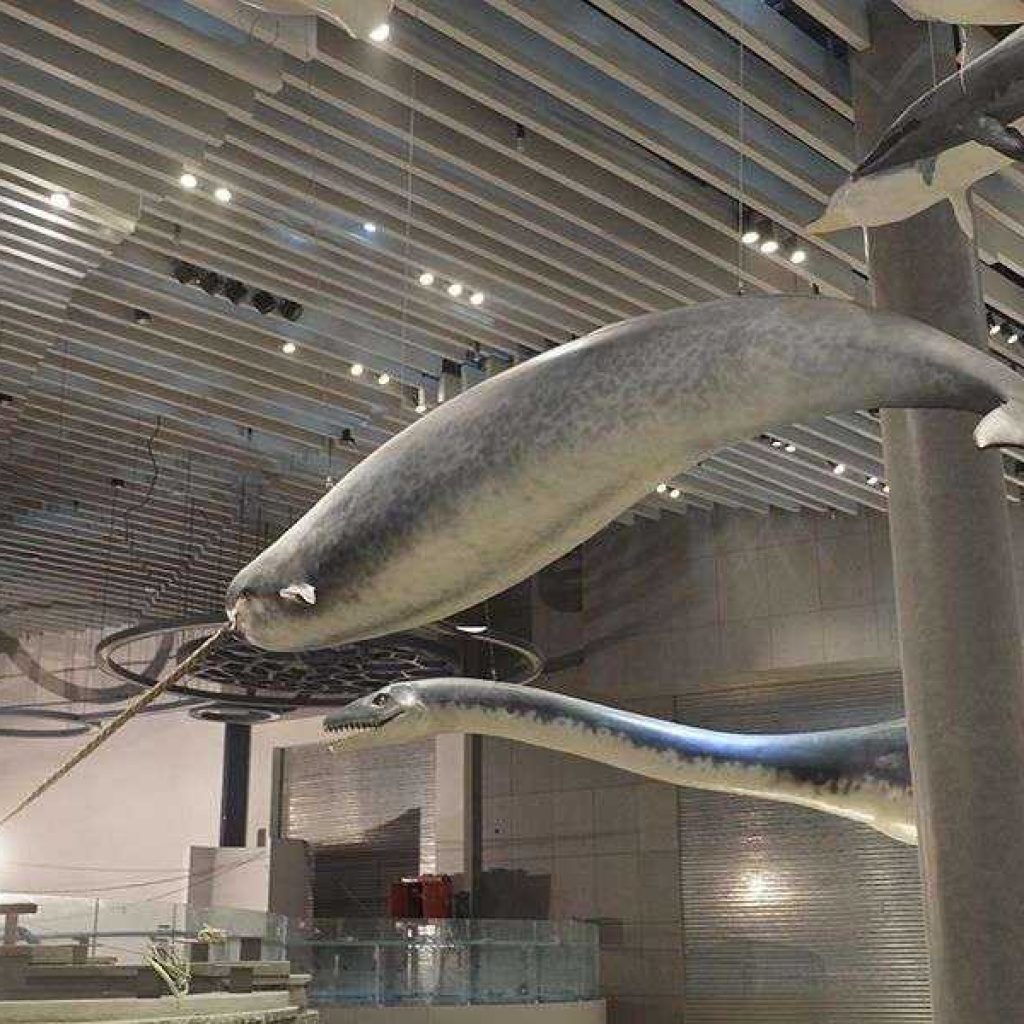 Artescienza: Modello tridimensionale realizzato per il Museo di Storia Naturale di Shanghai (CINA)