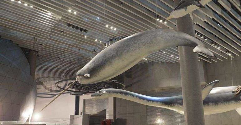 Artescienza: Modello tridimensionale realizzato per il Museo di Storia Naturale di Shanghai (CINA)