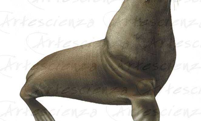 Artescienza: Tavole naturalistiche realizzate sia a scopi scientifici