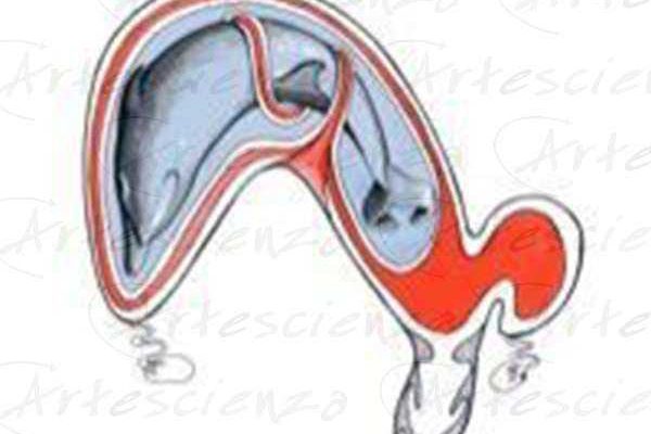 Artescienza: Tavole naturalistiche realizzate sia a scopi scientifici