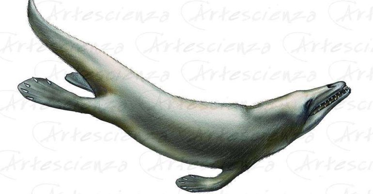 Artescienza: Tavole naturalistiche realizzate sia a scopi scientifici che artistici. Illustrazioni per testi e libri divulgativi