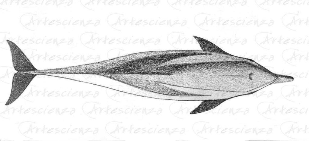 Artescienza: Tavole naturalistiche realizzate sia a scopi scientifici